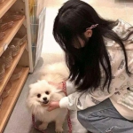 兔gg修改器下载